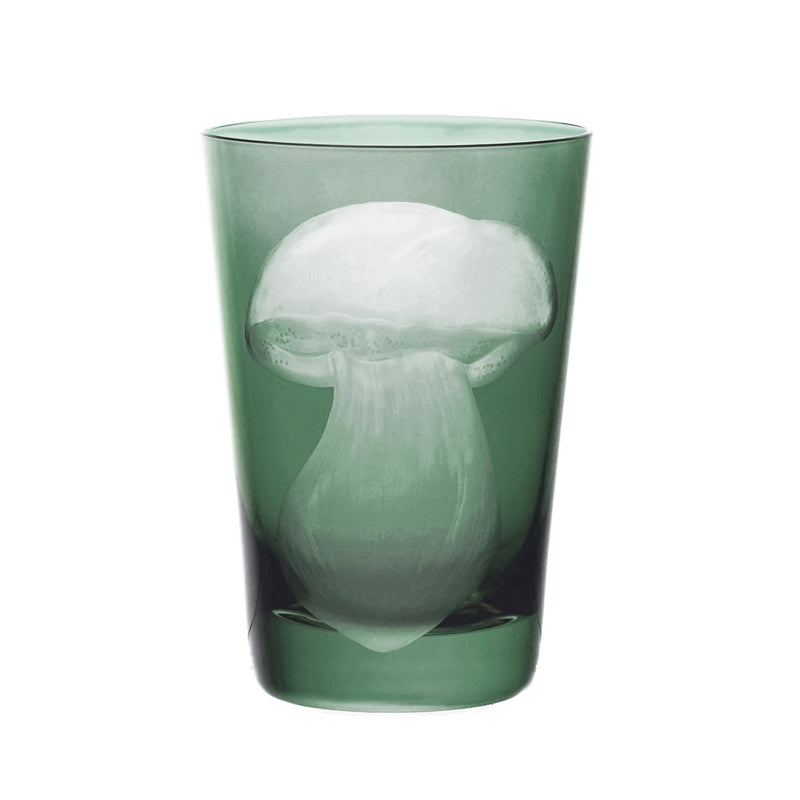 Mushrooms Summer Cep