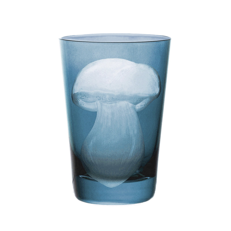 Mushrooms Summer Cep