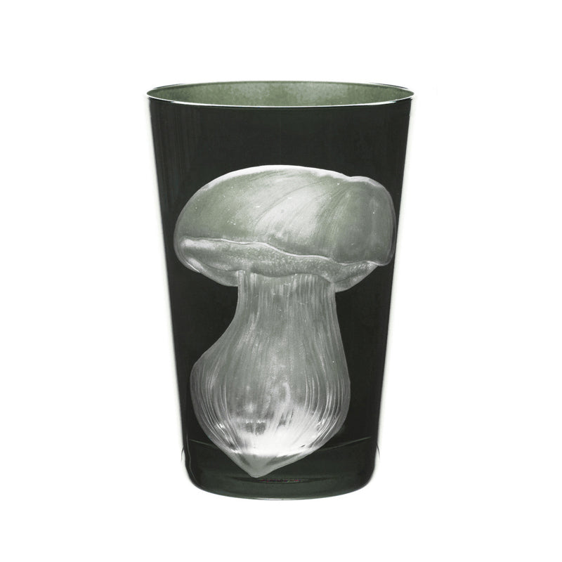 Mushrooms Summer Cep