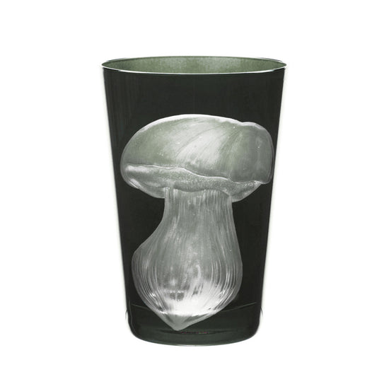 Mushrooms Summer Cep