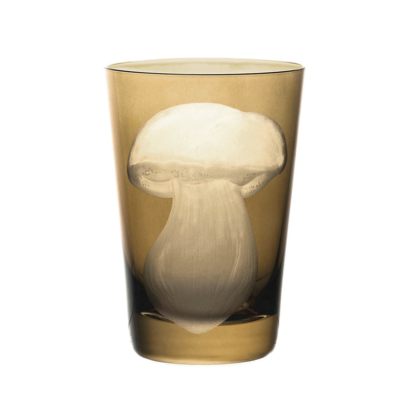 Mushrooms Summer Cep