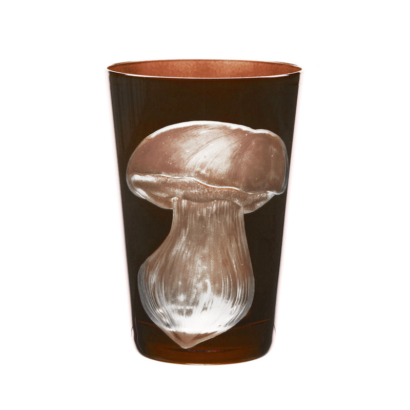 Mushrooms Summer Cep