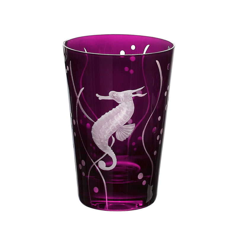 Sea Life Seahorse