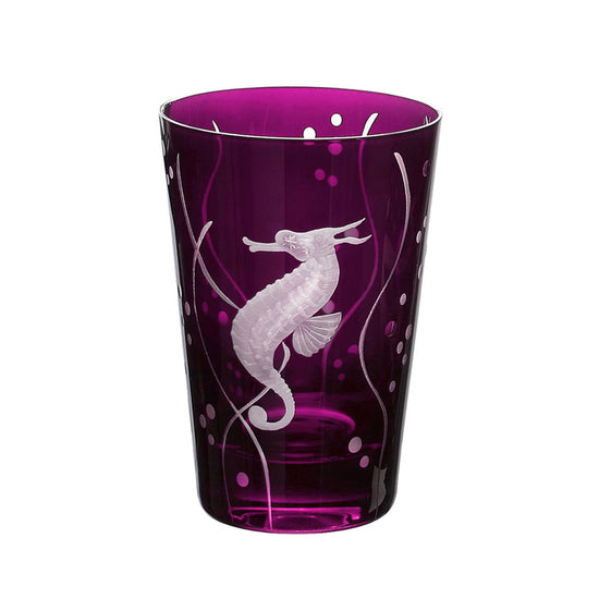 Sea Life Seahorse