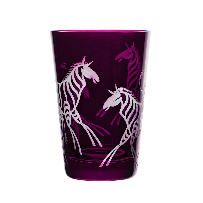 Safari Zebras