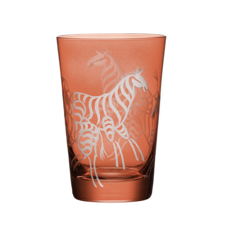 Safari Zebras