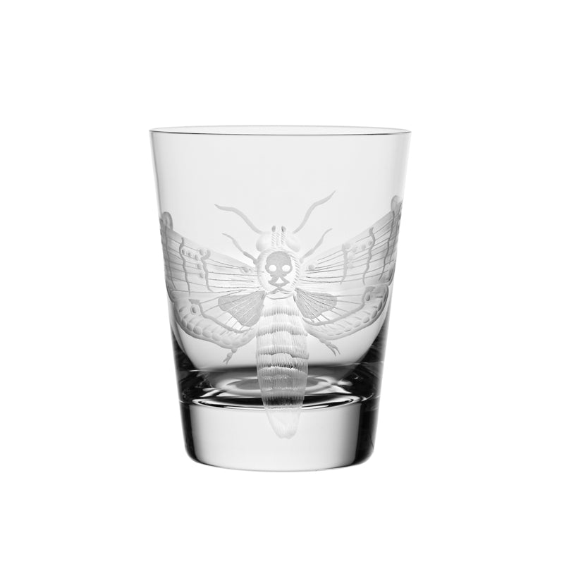 Cabinet of Curiosities Butterfly