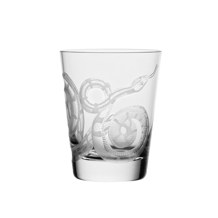 Cabinet of Curiosities Snake