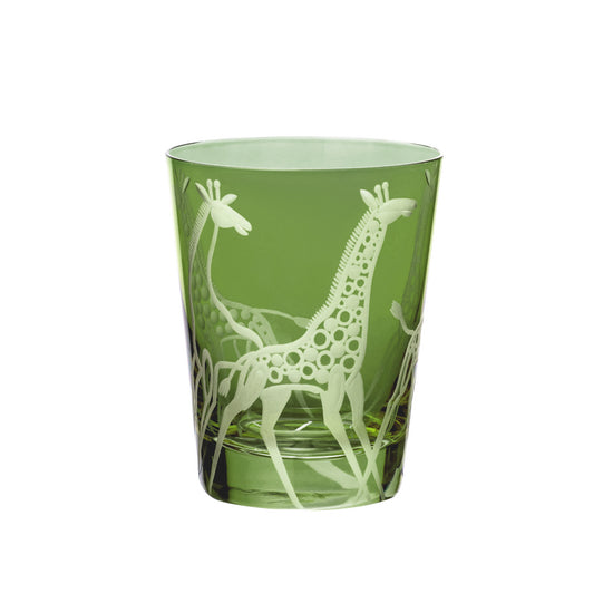 Safari Giraffes
