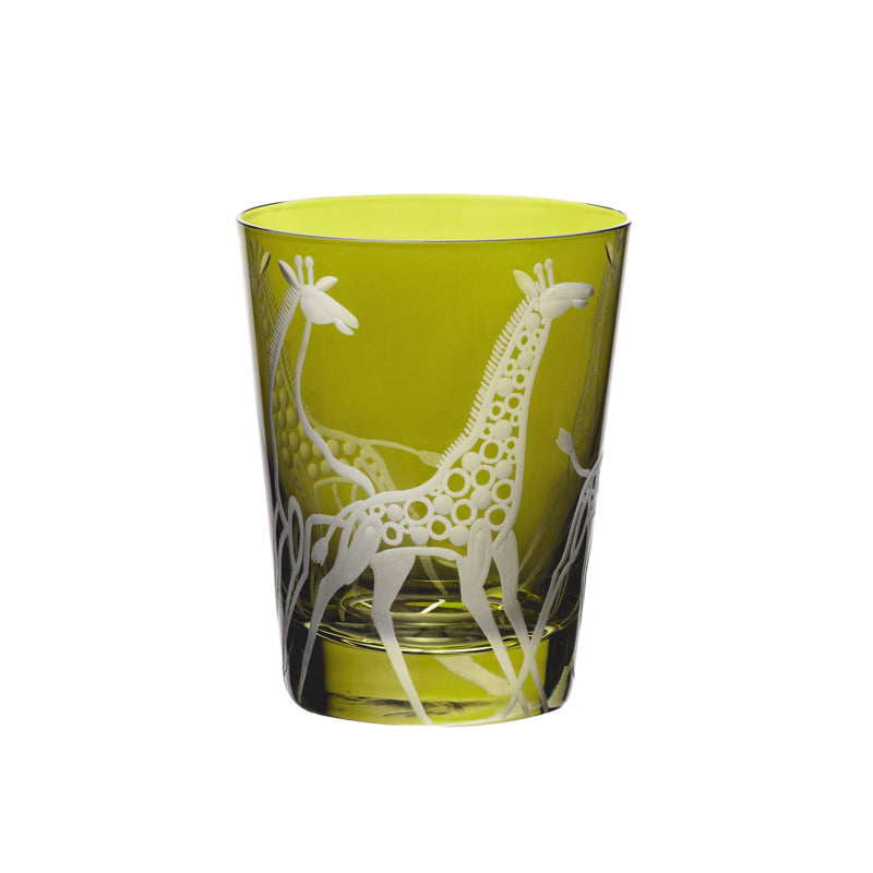 Safari Giraffes