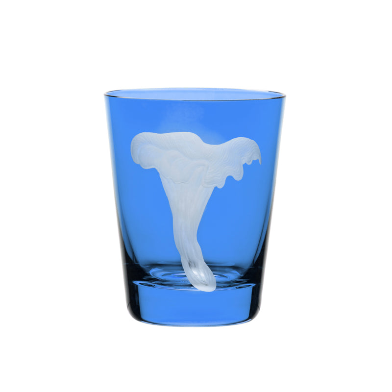 Mushrooms Chanterelle