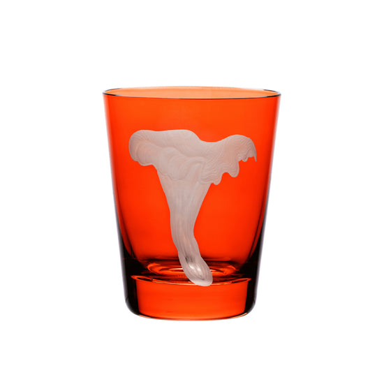 Mushrooms Chanterelle