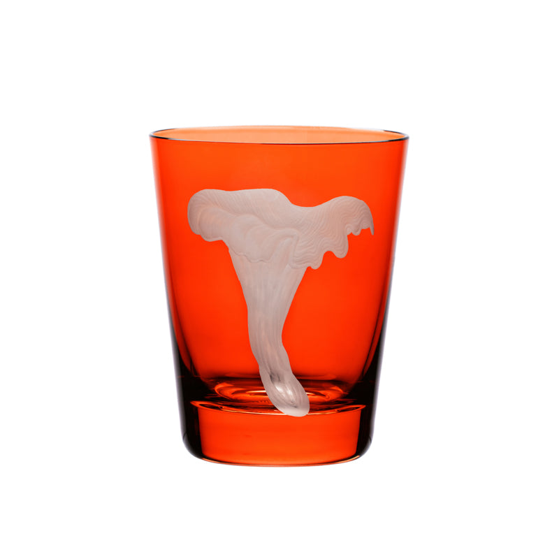 Mushrooms Chanterelle