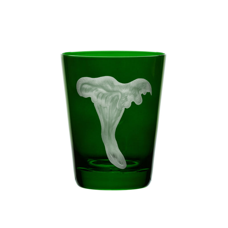 Mushrooms Chanterelle