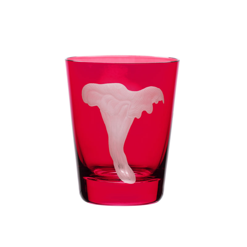 Mushrooms Chanterelle