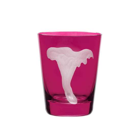 Mushrooms Chanterelle