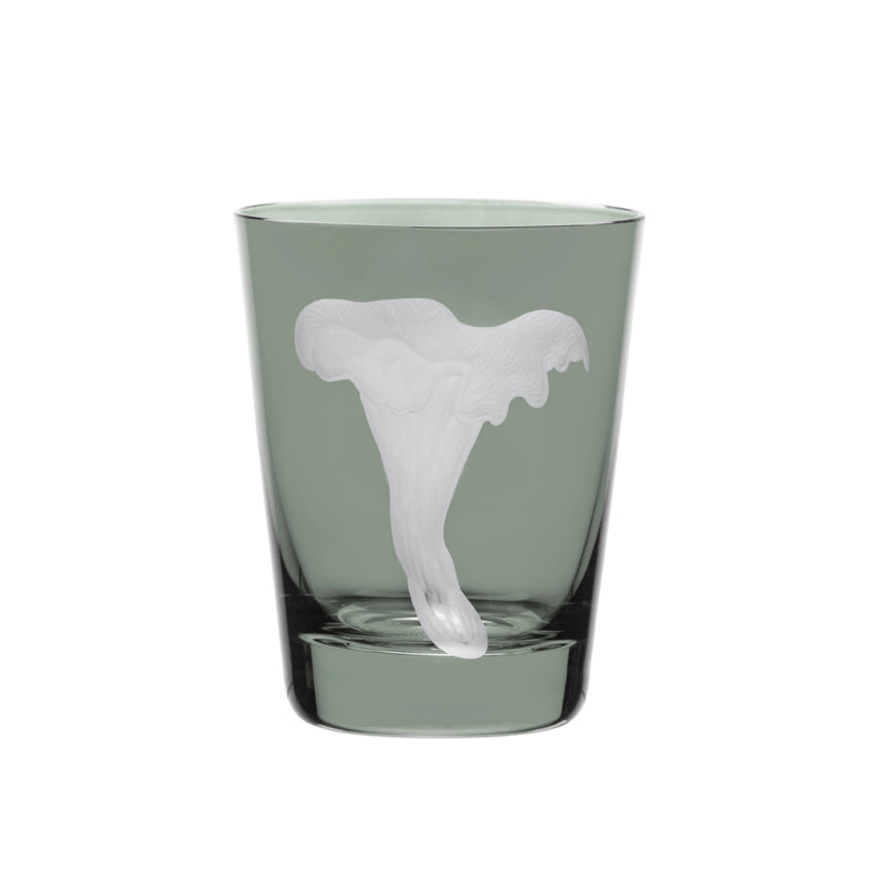 Mushrooms Chanterelle