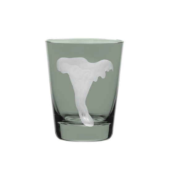 Mushrooms Chanterelle