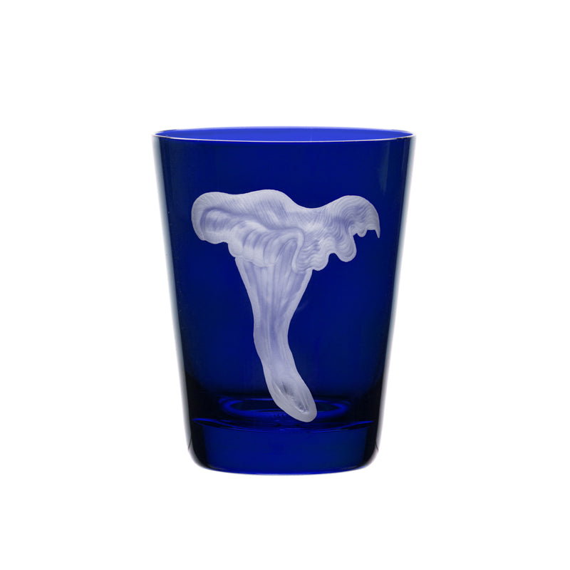 Mushrooms Chanterelle