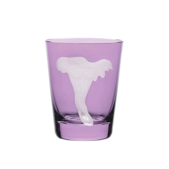 Mushrooms Chanterelle