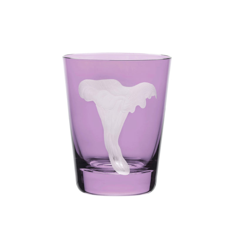 Mushrooms Chanterelle