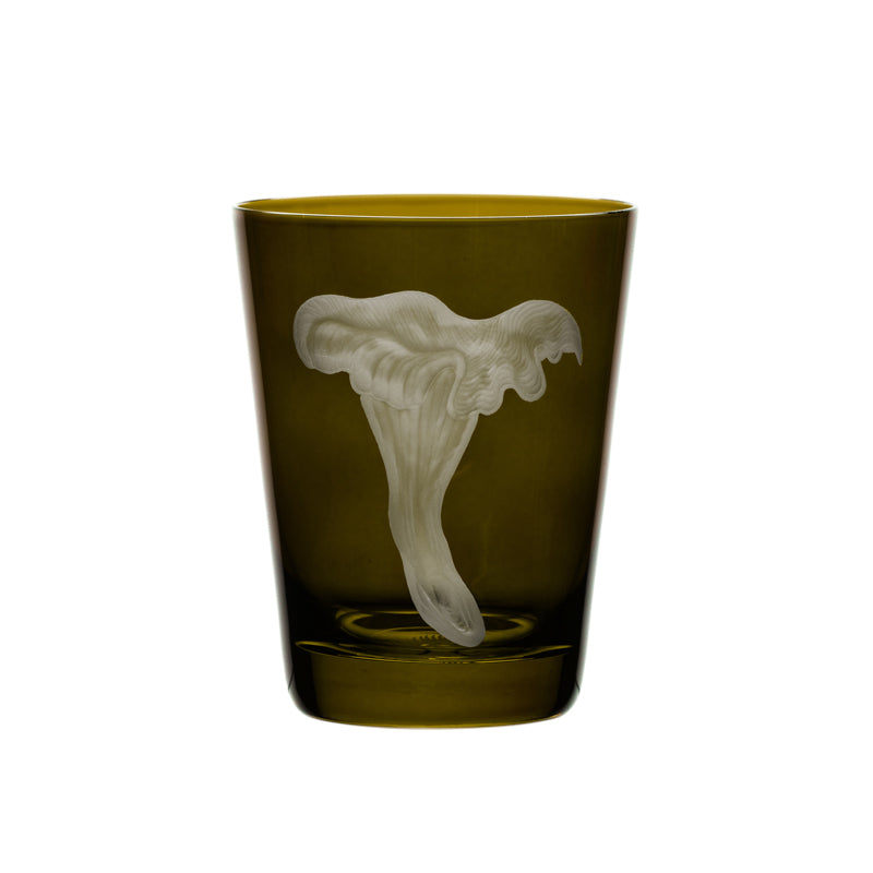 Mushrooms Chanterelle