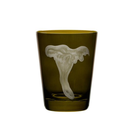 Mushrooms Chanterelle