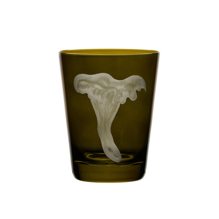 Mushrooms Chanterelle