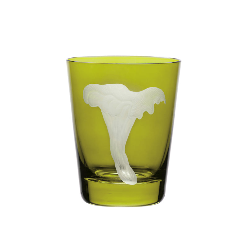 Mushrooms Chanterelle