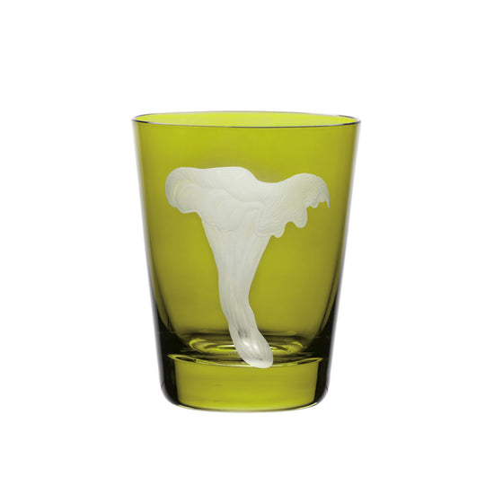 Mushrooms Chanterelle