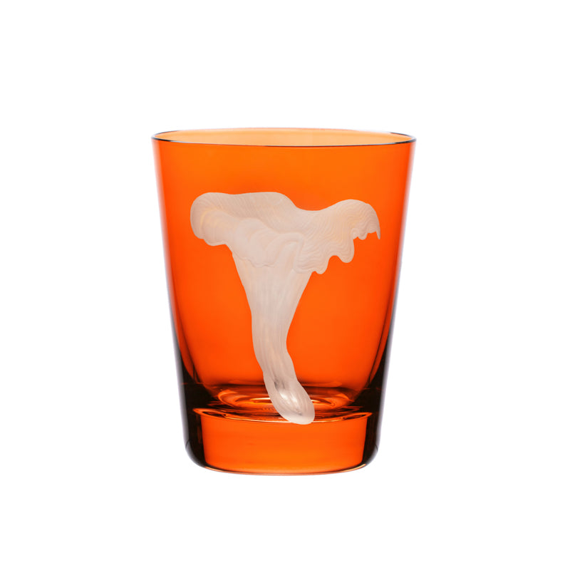 Mushrooms Chanterelle