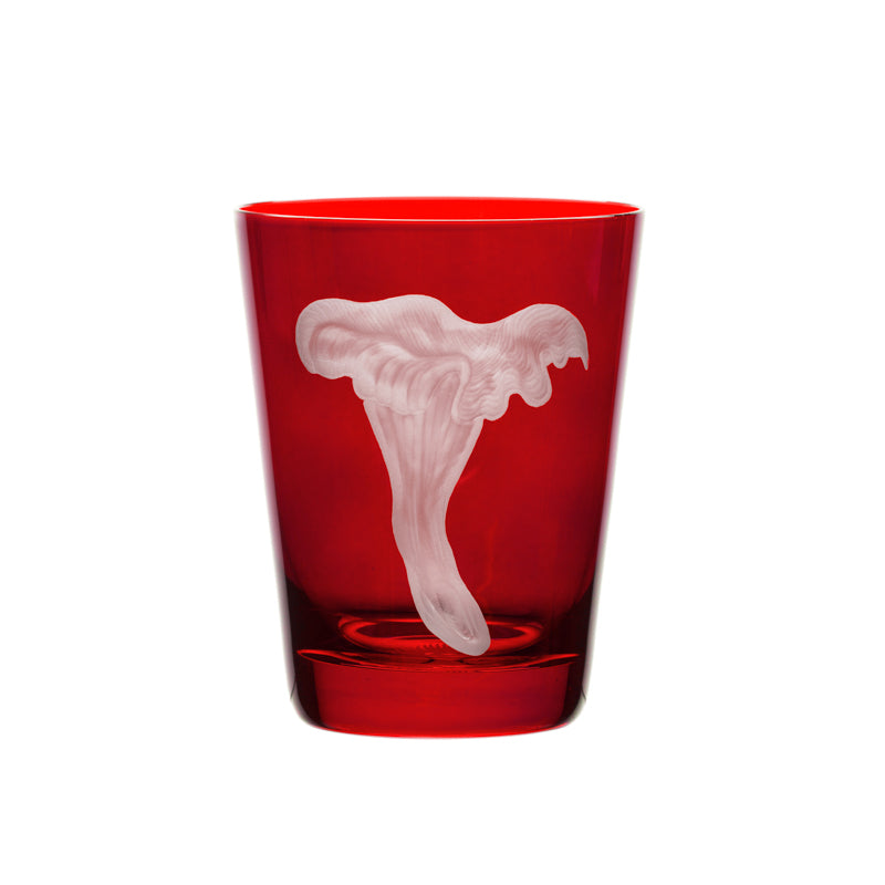 Mushrooms Chanterelle