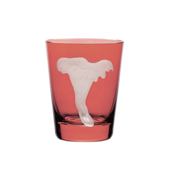 Mushrooms Chanterelle