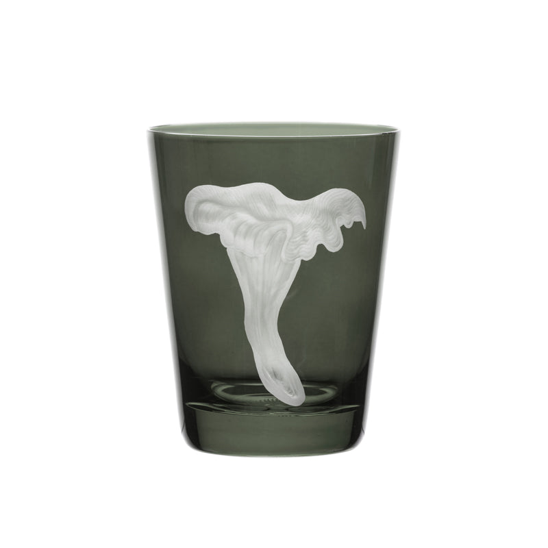 Mushrooms Chanterelle