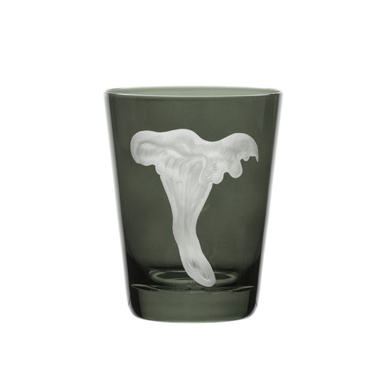 Mushrooms Chanterelle