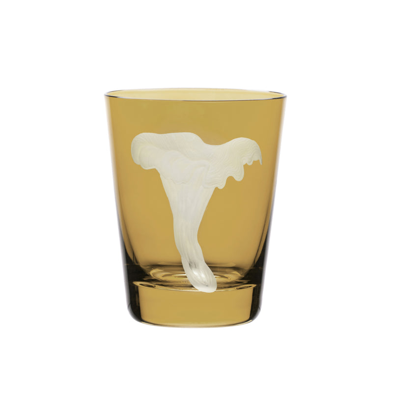 Mushrooms Chanterelle