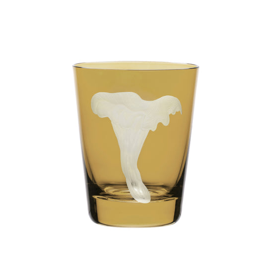 Mushrooms Chanterelle