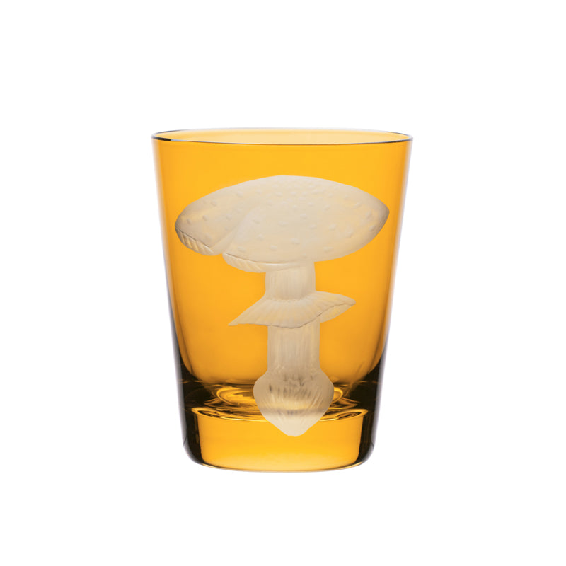 Mushrooms Fly Amanita