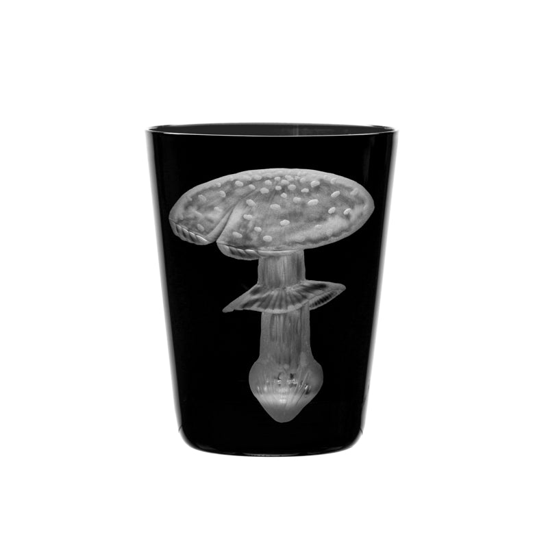 Mushrooms Fly Amanita