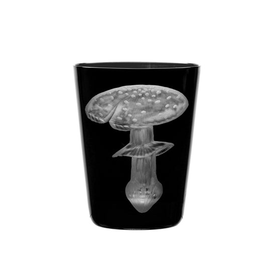 Mushrooms Fly Amanita