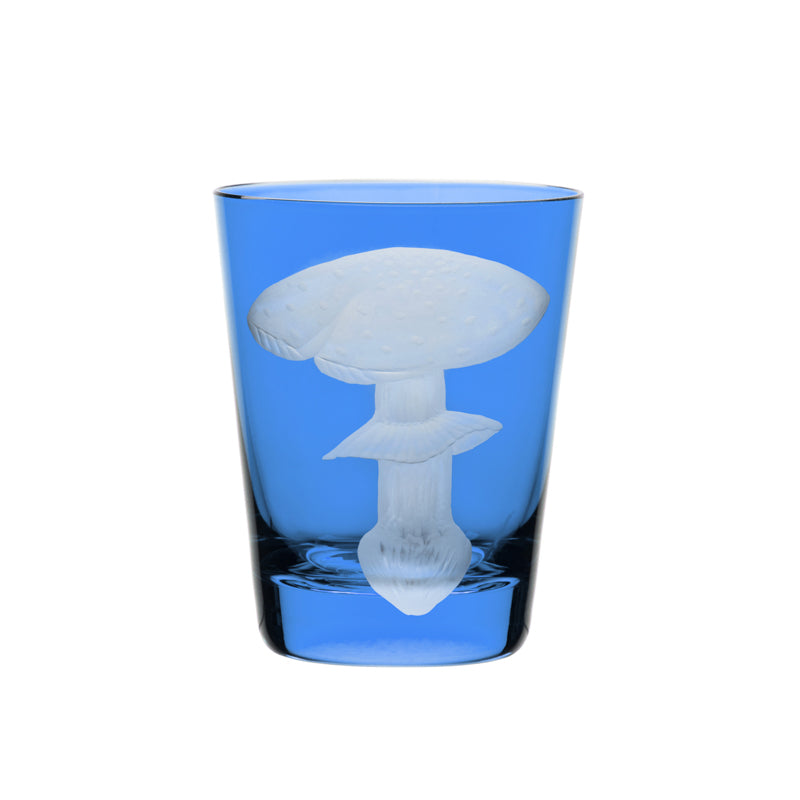 Mushrooms Fly Amanita