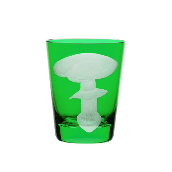 Mushrooms Fly Amanita