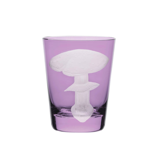 Mushrooms Fly Amanita