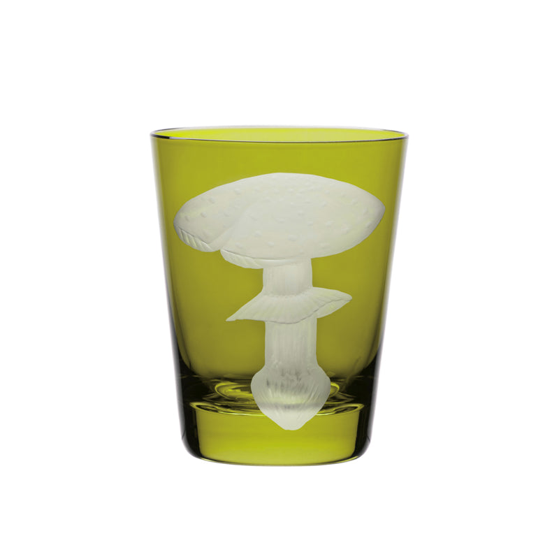 Mushrooms Fly Amanita