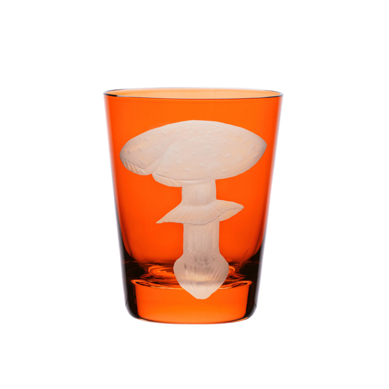 Mushrooms Fly Amanita