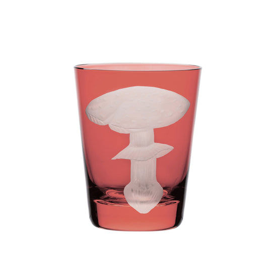 Mushrooms Fly Amanita