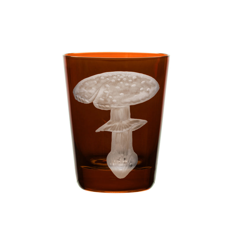 Mushrooms Fly Amanita