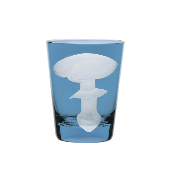 Mushrooms Fly Amanita