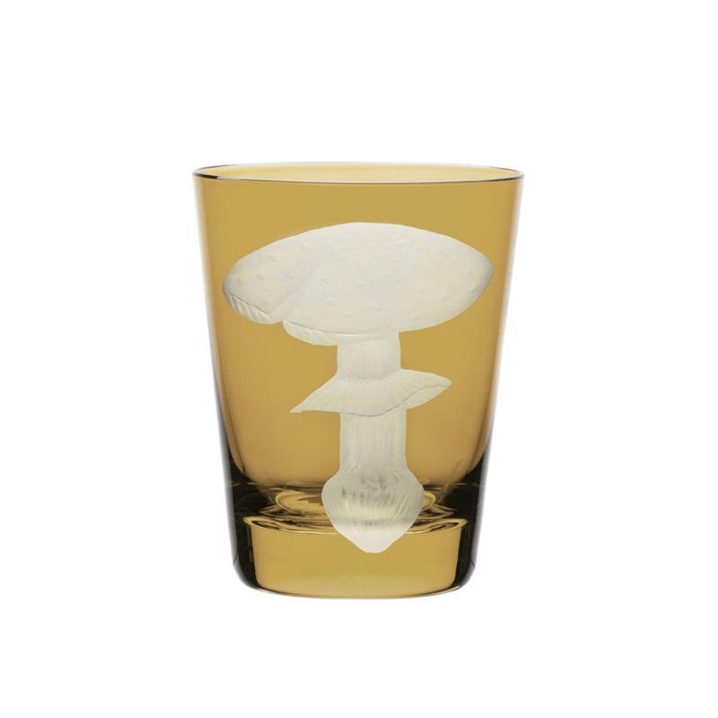 Mushrooms Fly Amanita