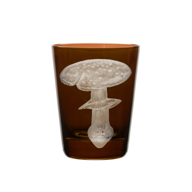 Mushrooms Fly Amanita